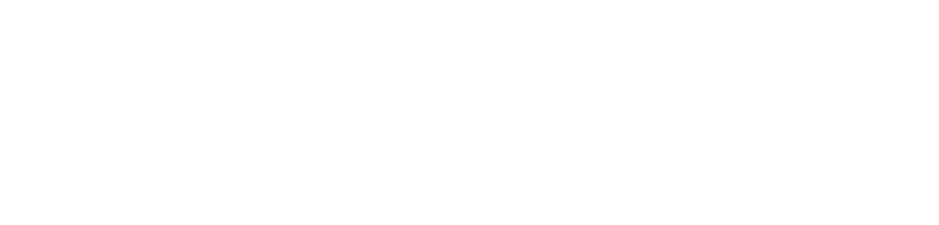 VALOR